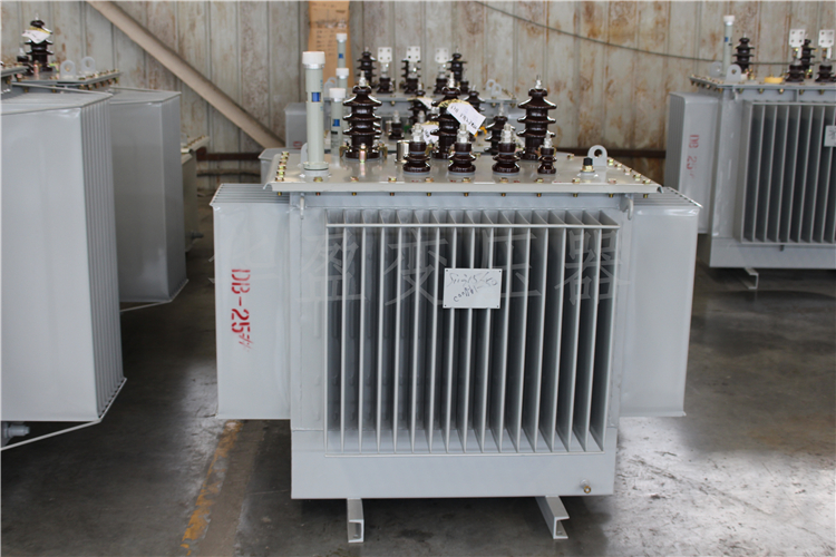 商洛S20-800kVA/10kV/0.4kV变压器